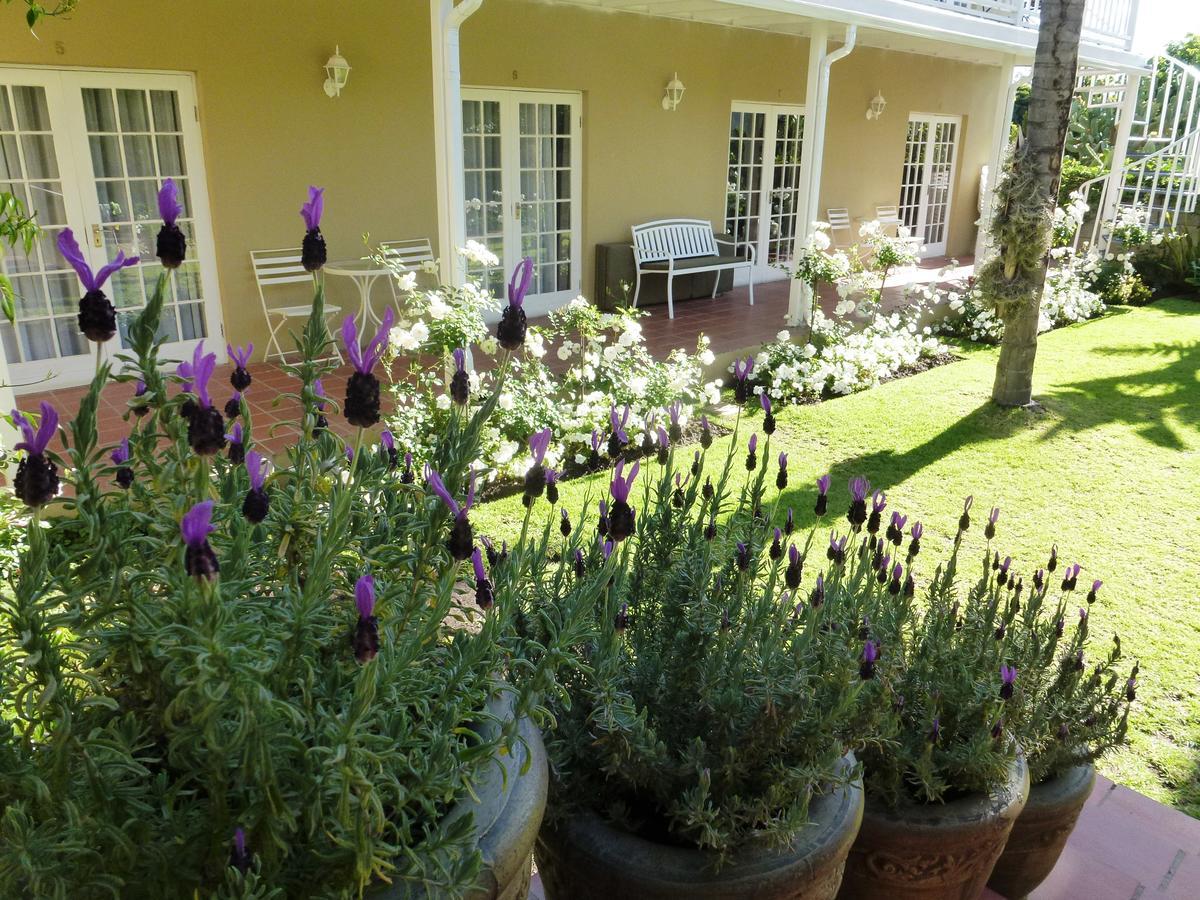 @Yamkela Guest House Oudtshoorn Kültér fotó